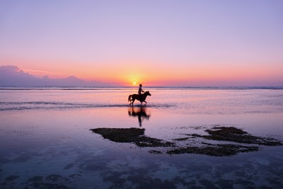 人骑着马在岸上
